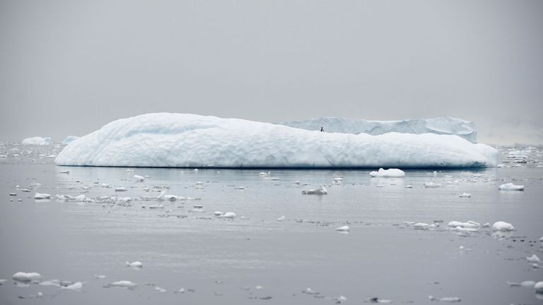Antarctique