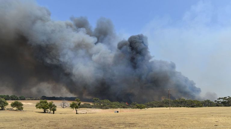 Les feux de brousse balayant la baie de Stokes dans l'île Kangourou, Australie