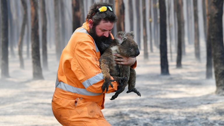 Un sauveteur est vu avec un koala secouru dans une forêt en feu près du cap Borda sur l'île Kangourou, au sud-ouest d'Adélaïde