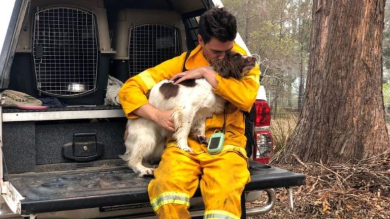 Malgré ses efforts pour trouver des koalas, Taylor est aussi toujours le meilleur ami de l'homme en ce qui concerne son entraîneur Ryan Tate