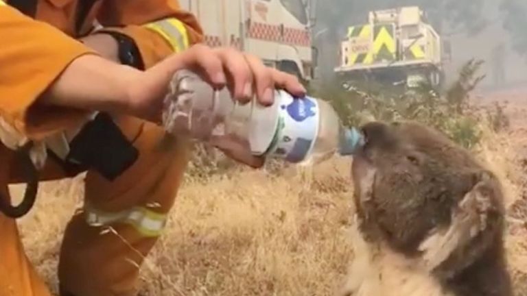 Un koala boit de l'eau offerte dans une bouteille par un pompier lors d'un feu de brousse à Cudlee Creek, Australie-Méridionale, le 22 décembre 2019. OAKBANK BALHANNAH CFS / via REUTERS