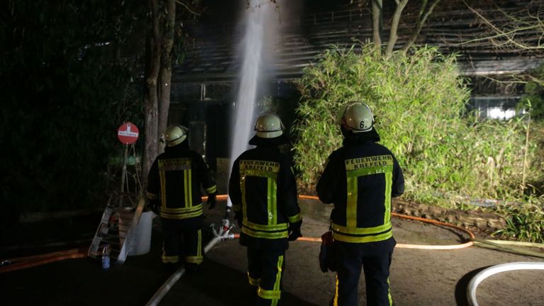 Des pompiers travaillent dans la maison des singes incendiée du zoo de Krefeld, dans l'ouest de l'Allemagne, au début du 1er janvier 2020. - Un incendie a ravagé la maison des singes au zoo de Krefeld le soir de la Saint-Sylvestre, tuant des dizaines d'animaux, dont orangs-outans, chimpanzés et ouistitis, a indiqué la direction. (Photo de David Young / DPA / AFP) / Allemagne OUT (Photo de DAVID YOUNG / DPA / AFP via Getty Images)
