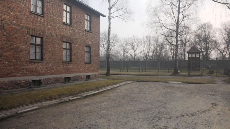 Albert Reiss dit que son père a été tué à Auschwitz, un endroit qu'il a toujours refusé de visiter