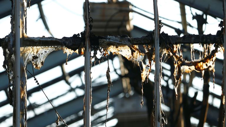 Cinq orangs-outans, deux gorilles, un chimpanzé et plusieurs singes figuraient parmi les animaux tués dans l'incendie