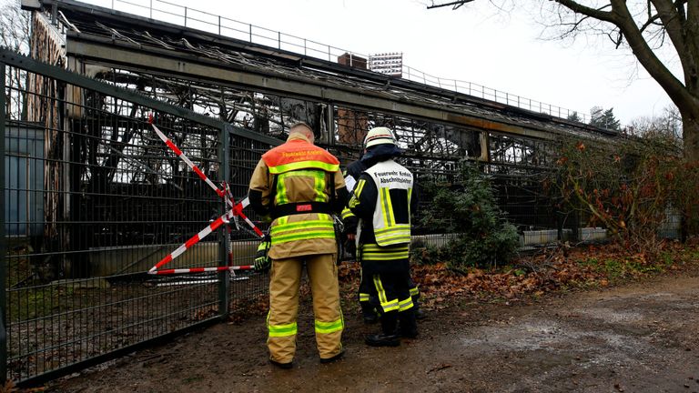 Les pompiers observent une maison de singe brûlée au zoo de Krefeld