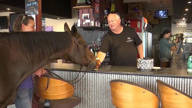 Winter, son fils et Charmer séjournent maintenant dans un hôtel où les bières sont froides, offrant un répit bienvenu, même à un cheval.