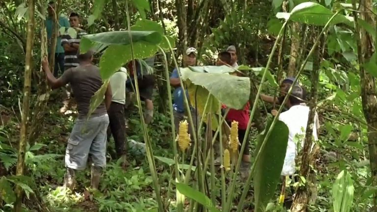 Les corps d'une femme enceinte et de six enfants ont été retrouvés dans une tombe fraîchement creusée