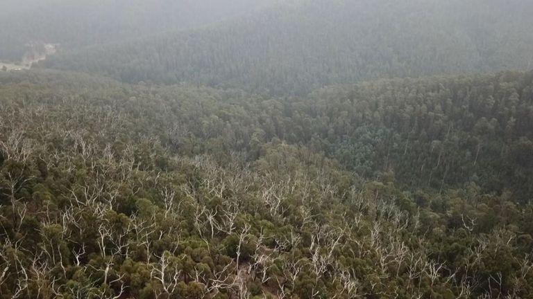 Kinglake a été détruit par des feux de brousse en 2009