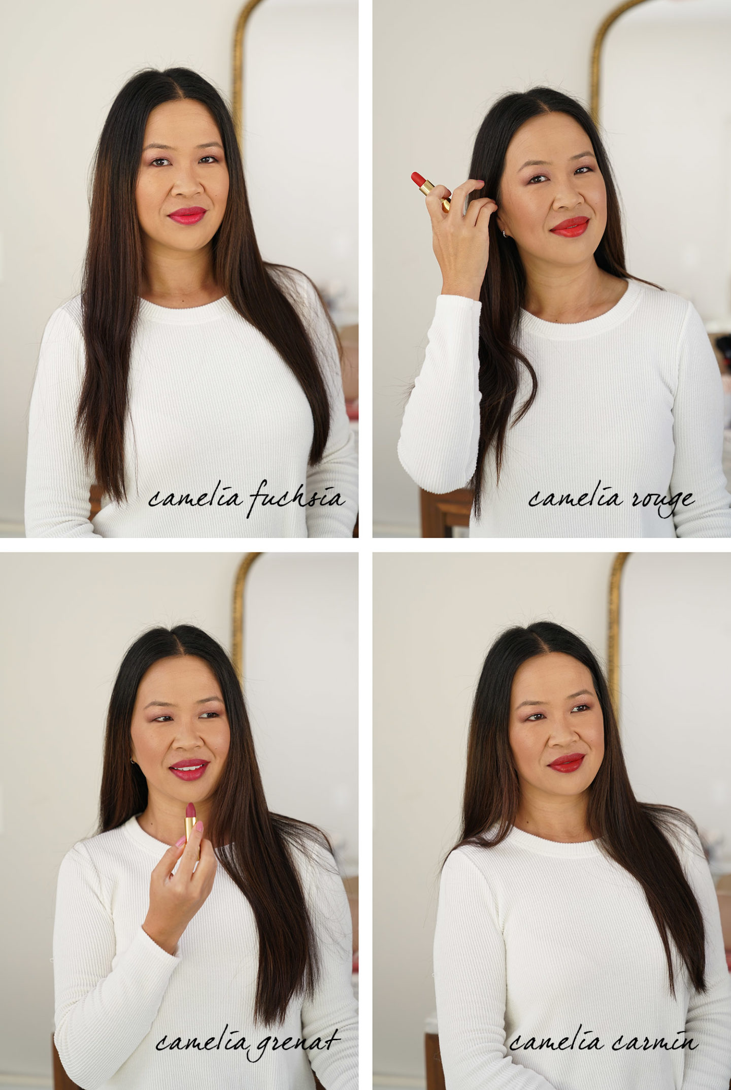 Échantillons de lèvres Chanel Rouge Allure Camelia Velvet
