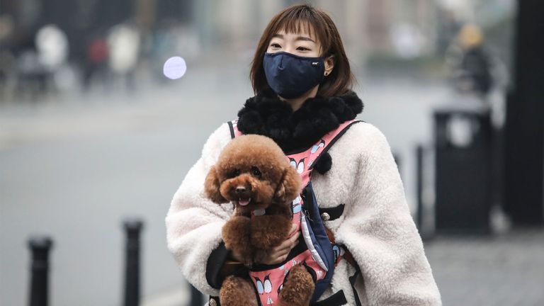 WUHAN, CHINE - 31 JANVIER: (CHINE OUT) Une femme porte un masque de protection lorsqu'elle promène son chien et achète des légumes dans une ruelle le 31 janvier 2020 à Wuhan, en Chine. Le directeur général de l'Organisation mondiale de la santé (OMS), Tedros Adhanom Ghebreyesus, a déclaré le 30 janvier que la nouvelle éclosion de coronavirus est devenue une urgence de santé publique de portée internationale (USPPI). (Photo par Stringer / Getty Images)
