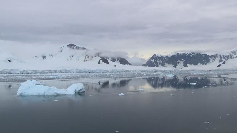Le glacier William dans la baie de Borgen a reculé de près d'un mile en 20 ans