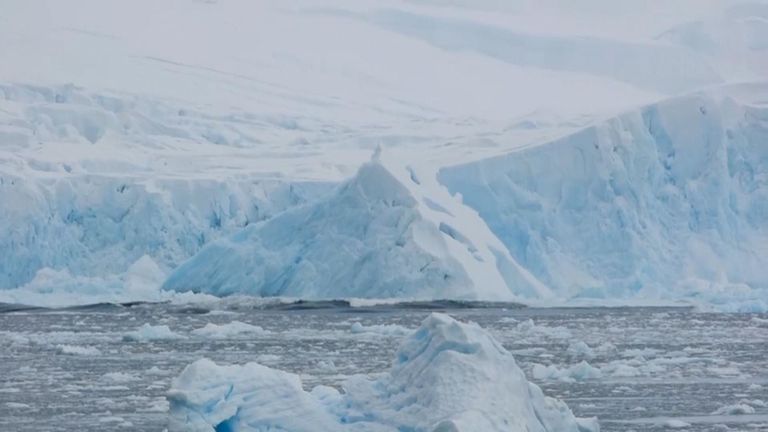 L'énorme dalle faisait au moins 40 mètres de haut. Photo: John O & # 39; Duffy / British Antarctic Survey