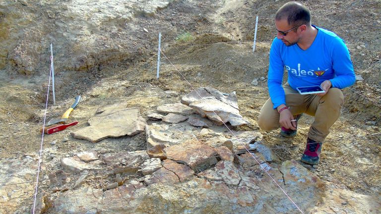 Le paléontologue colombien Edwin Cadena est pris en train de prendre des notes sur l'un des spécimens mâles de Stupendemys géographiquesus lors de travaux sur le terrain en 2016