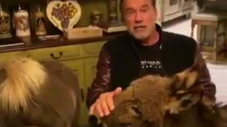 L'ancien Terminator Arnold Schwarzenegger a publié une vidéo à la maison avec ses deux ânes, disant aux gens de ne pas sortir.