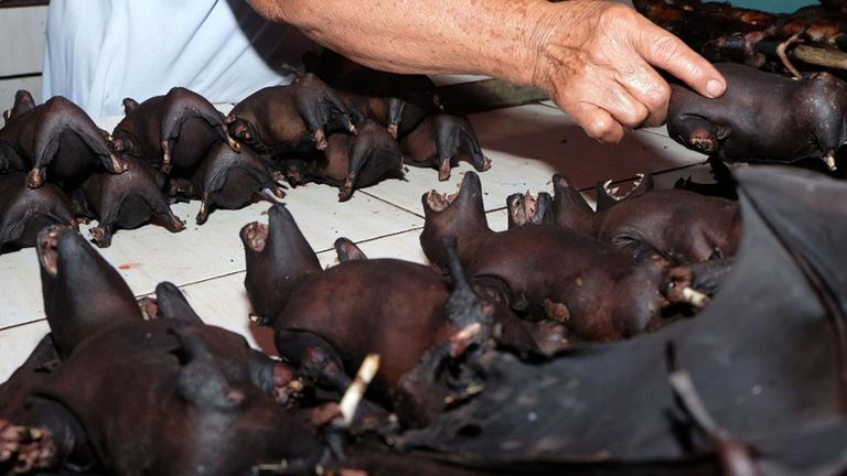 Les photos prises le mois dernier montrent que les marchés chinois vendent toujours des chauves-souris