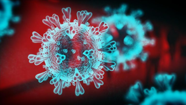 Comme un autre cas est découvert dans une prison de l'Oxfordshire, l'Organisation mondiale de la santé appelle COVID-19 - la maladie causée par le coronavirus - 