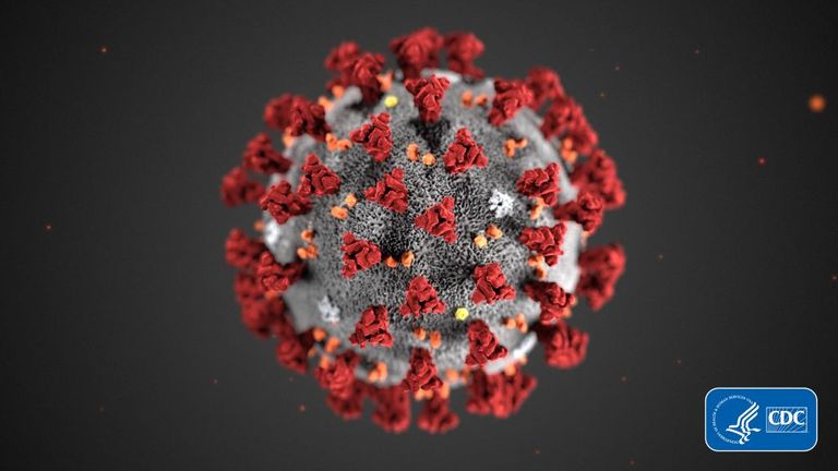Une illustration de la structure du coronavirus