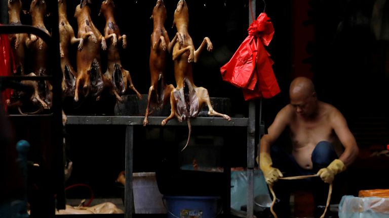 Les chiens sont actuellement considérés comme du bétail en Chine