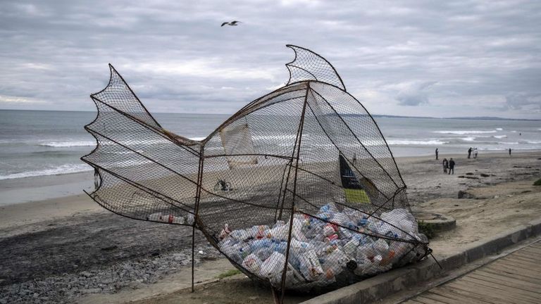 Un collecteur en plastique en forme de poisson sur une plage de Tijuana, Mexique