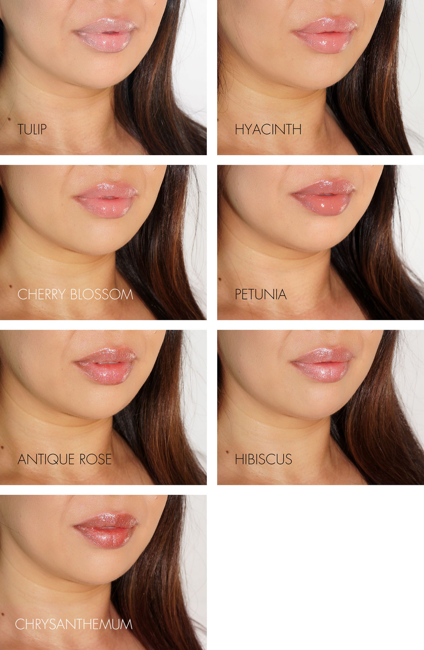 Échantillons de lèvres à haute brillance Wayne Goss