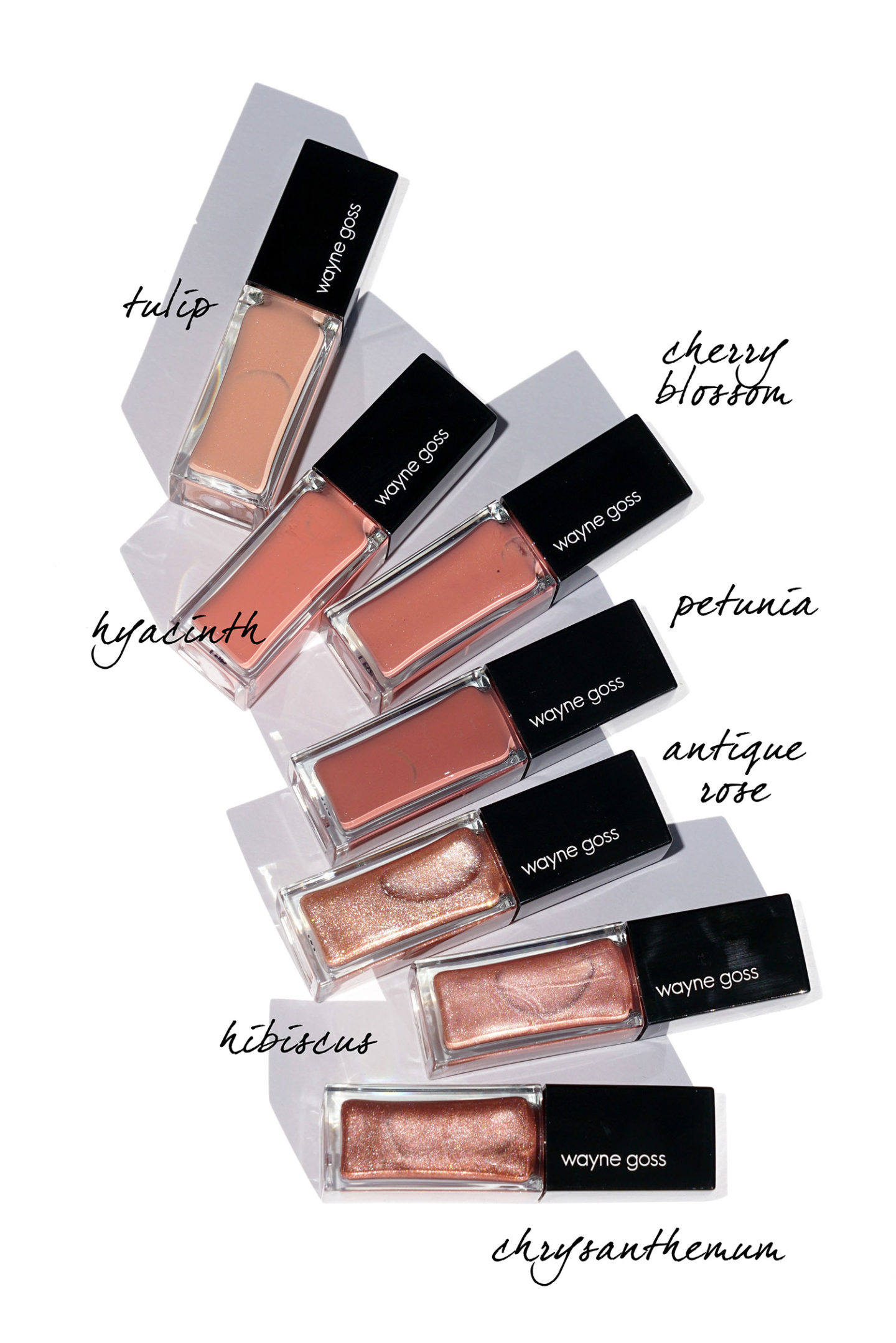 Wayne Goss Le brillant ultra brillant