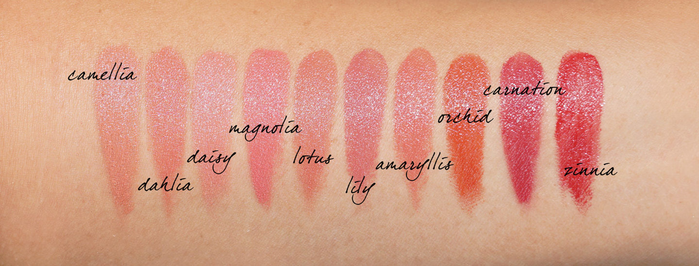 Échantillons de rouge à lèvres crème de luxe Wayne Goss
