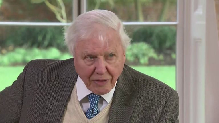 Sir David Attenborough dit que les jeunes doivent montrer aux politiciens qu'ils veulent dire ce qu'ils disent.