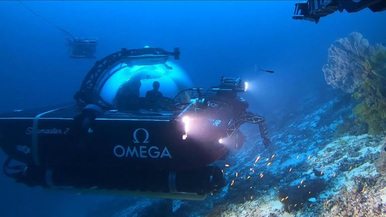 Deep Ocean Live