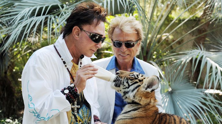 Roy Horn nourrit un tigre de quatre mois au Siegfried et au Roy's Secret Garden du Mirage Hotel and Casino de Las Vegas en 2008