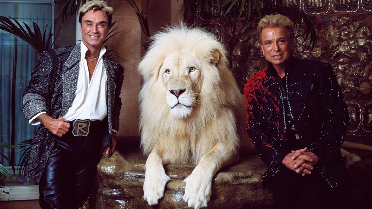 Horn et Fischbacher dans leur appartement privé à l'hôtel Mirage sur le Strip de Vegas, avec l'un de leurs lions blancs performants en 2011