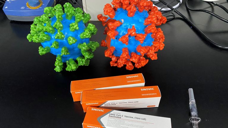 Des échantillons du vaccin en cours d'élaboration dans la société de biotechnologie basée à Pékin Sinovac