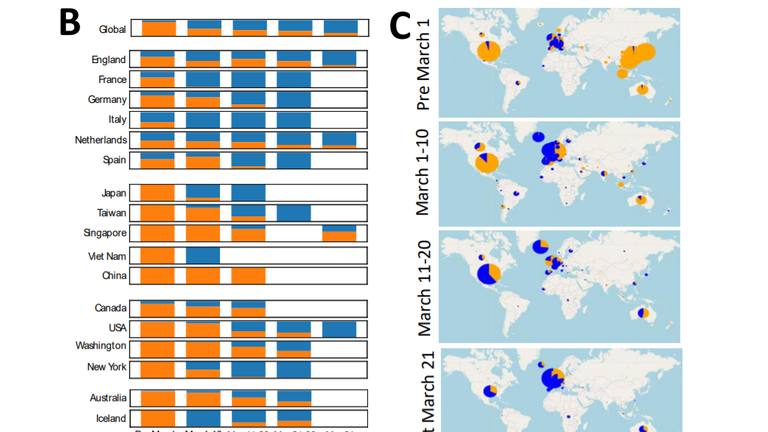Un graphique montre que le virus devient la souche la plus dominante dans le monde