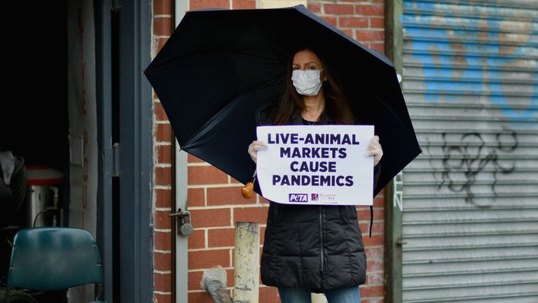 Des militants protestent contre les marchés d'animaux vivants 