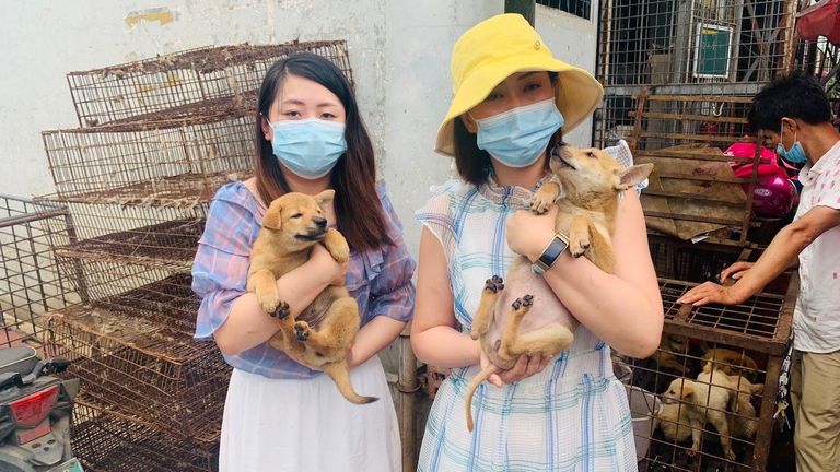 Des militants avec quelques chiens qu'ils ont sauvés. Pic: Humane Society International 