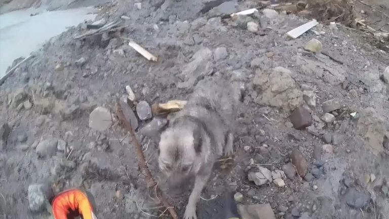 Des images fournies par la Royal Norwegian Airforce montrent un membre des services de secours descendant d'un hélicoptère pour sauver un chien du site d'un énorme glissement de terrain.