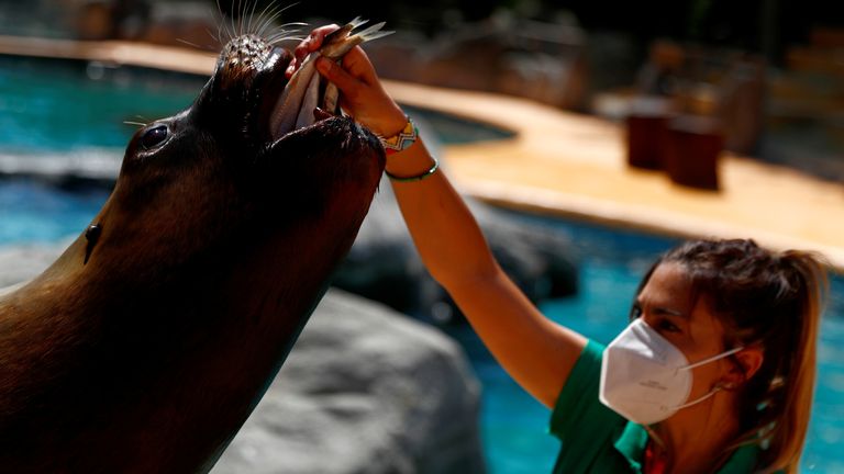 Le zoo de Madrid a rouvert ses portes