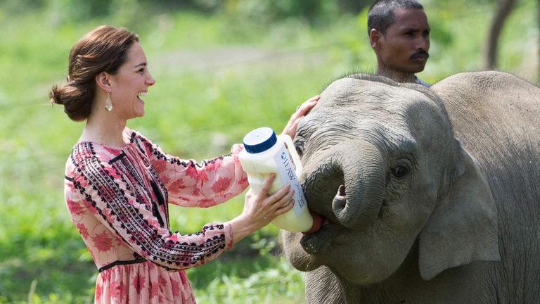 Le duc et la duchesse de Cambridge visitent l'Inde et le Bhoutan - Jour 4