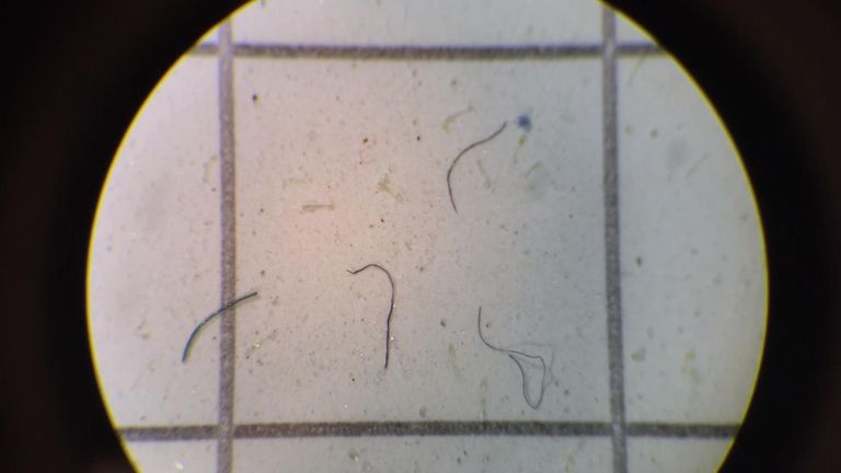 Les microplastiques se trouvent dans l'une des parties les plus vierges de la planète