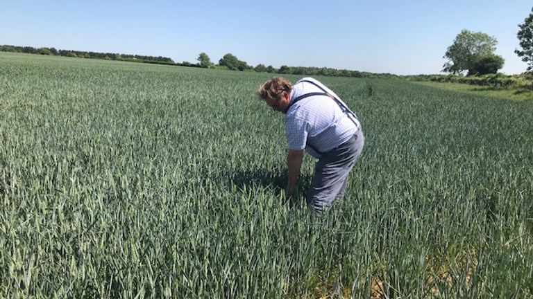 David Barton est vu travaillant sur sa ferme, Manor Farm près de Cirencester