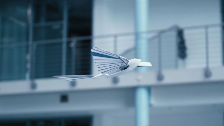 Oiseau robot de Festo