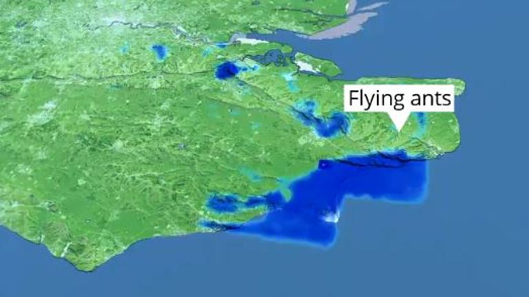 Une image satellite du Met Office de voler des essaims de fourmis au-dessus de l'Angleterre