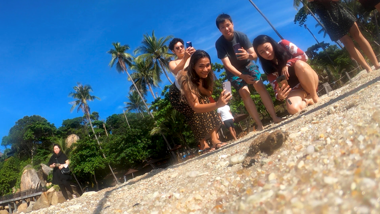 Les habitants de Koh Samui disent que la mer regorge de poissons