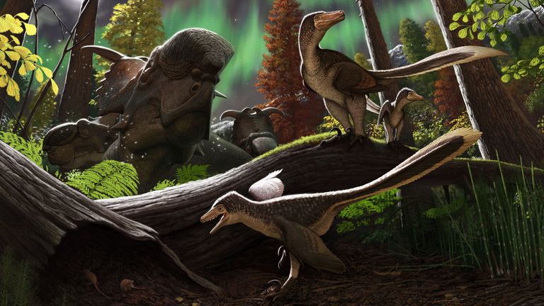 Vue d'artiste des dinosaures dromaeosaurids qui ont vécu il y a 145 millions d'années