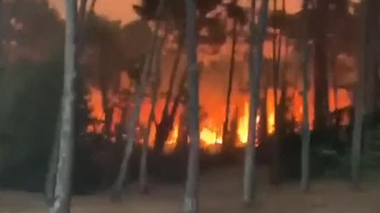L'incendie a détruit plus de 150 hectares d'une forêt en France