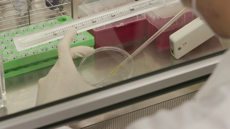 Le vaccin japonais contre le coronavirus est en essai préclinique