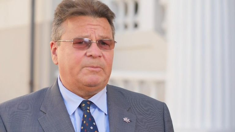 Le ministre lituanien des Affaires étrangères Linas Linkevičius s'est dit inquiet de l'ingérence militaire russe