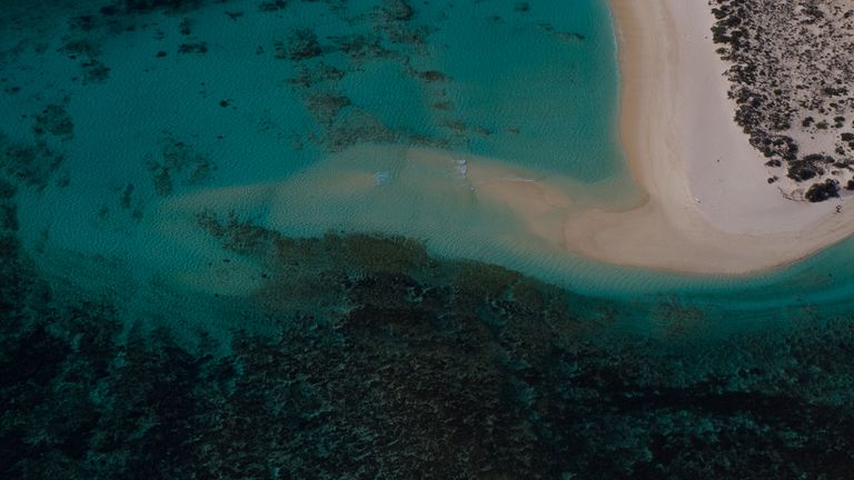 Le toit de Ningaloo est un endroit populaire pour la plongée avec tuba en Australie