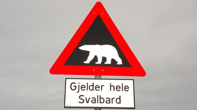 Îles Svalbard
