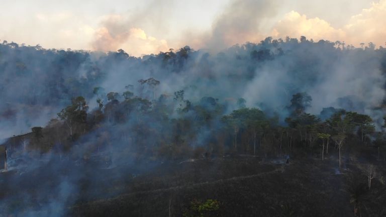 Cinq hommes tentent de protéger une région de la taille de l'Écosse contre les incendies rampants, tandis que le gouvernement brésilien nie l'existence d'incendies.