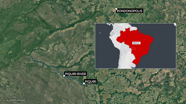 L'équipe de secours aide les jaguars dans les environs de la rivière Piquiri au Brésil